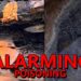 UPDATE on Alarming Water Poisoning