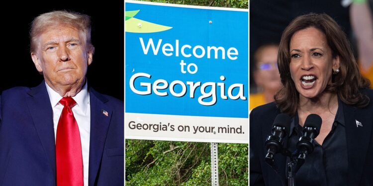 ‘Illegal, unconstitutional and void’: Georgia judge strikes down new election rules after legal fights