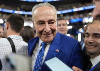 Schumer, Dems pre-election report urges voters to be wary of ‘misinformation’ about results