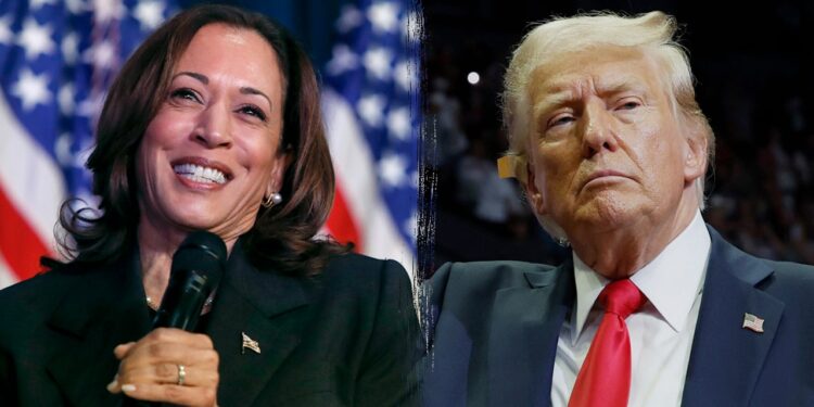 Harris holds small national lead as Trump increases his edge on the economy: poll