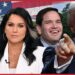 BOMBSHELL! Trump picks Matt Gaetz, Tulsi Gabbard, Marco Rubio for his cabinet | Redacted News