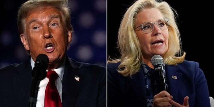 Trump clarifies he meant Cheney wouldn’t have ‘guts’ to fight a war with rifle comment after Dem backlash