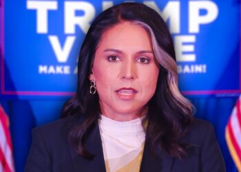 They Lied To You About Donald Trump