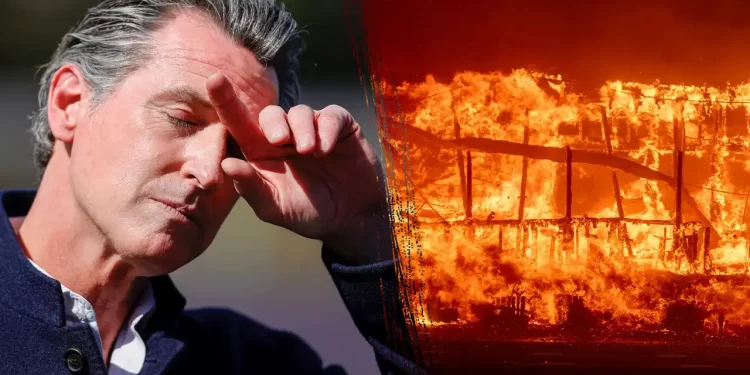 Gov. Newsom cut fire budget, Cal Fire funding by $100M months before lethal California fires