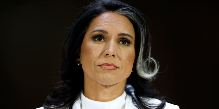 Top Senate Intelligence Dem grills Gabbard if Edward Snowden is ‘brave’: ‘Very troubling’