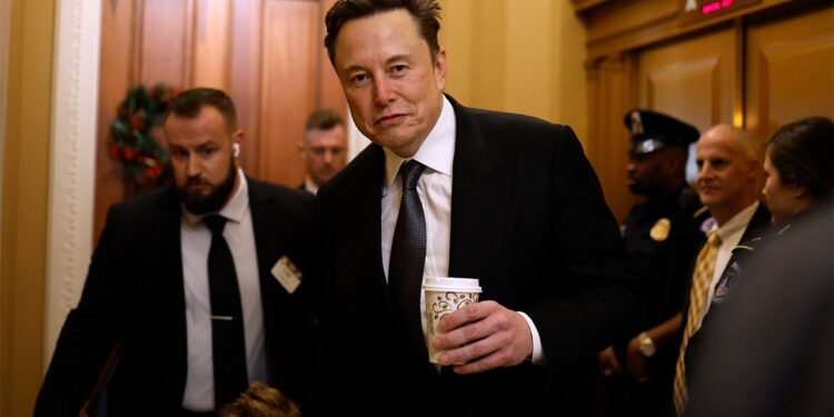 Musk rips ‘fraudulent’ Treasury payments as reports mount DOGE has access to federal payment system