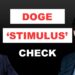 Will You Get a $5,000 Check? ‘Doge Dividend’ Explained | James Fishback