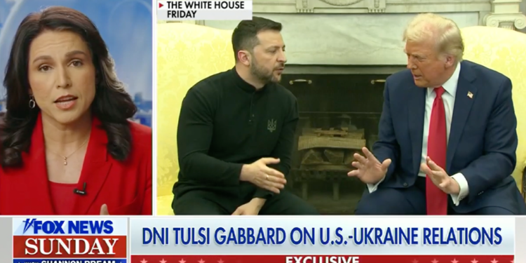 Tense Trump-Zelenskyy meeting exposes Europe’s ‘divergence’ from protecting freedom and peace: DNI Gabbard