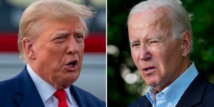 Trump takes swipe at Biden, says US will support Somalia against Houthis