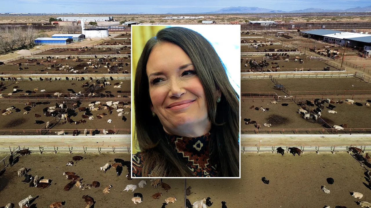 Agriculture Secretary Rollins to Mexico: Stop worm spread or lose animal trade