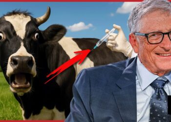 It’s starting! Bill Gates announces plans to vaccinate your meat | Redacted News