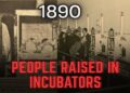 The Secret 19th-Century Reset: How the Incubator System Rebuilt a Lost Population