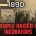 The Secret 19th-Century Reset: How the Incubator System Rebuilt a Lost Population