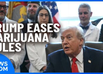 President Trump Eases Cannabis Law; Brown Shooting Person Of Interest Found | NTD Newsroom (Dec. 18)