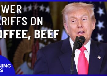 Trump Lowers Tariffs on Many Food Items; DOJ to Probe Epstein Ties | NTD Evening News (Nov. 14)