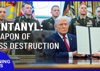 NTD Evening News Full Broadcast (Dec. 15)