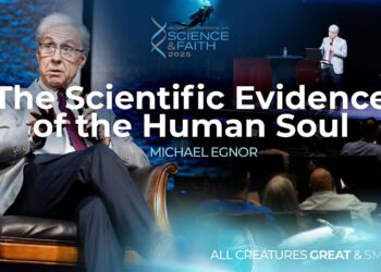 Is The Soul Real? Neurosurgeon Explores The Evidence (2025 Dallas Conference on Science & Faith)