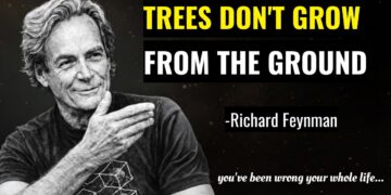 Trees DO NOT Grow From The Ground (It’s not what you think) |  Feynman’s Explains why