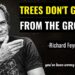 Trees DO NOT Grow From The Ground (It’s not what you think) | Feynman’s Explains why