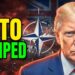 NATO DUMPED: Trump’s Precision Strike Ends Britain’s Forever War Empire