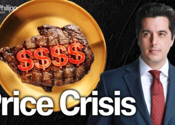 Why Beef Prices Are Out of Control