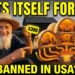The Amish Have Built This $300 Home for 200 Years — Now It’s Illegal to Build