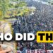 Why did the elites open America’s border?