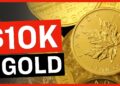 Euro Central Banks Moving all Gold out of USA; $10,000/oz Coming: AHG Rep
